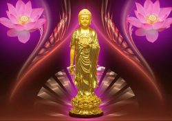 Ngày vía Đức Phật A Di Đà (17/11 Âl) và 48 lời đại nguyện